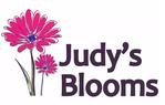 Judys Blooms